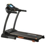 Pareri pe scurt: FitTronic G2000