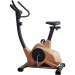 Pareri pe scurt: FitTronic 601B Gold pareri